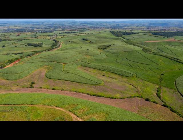 FARM FOR SALE IN BALLITO BAY